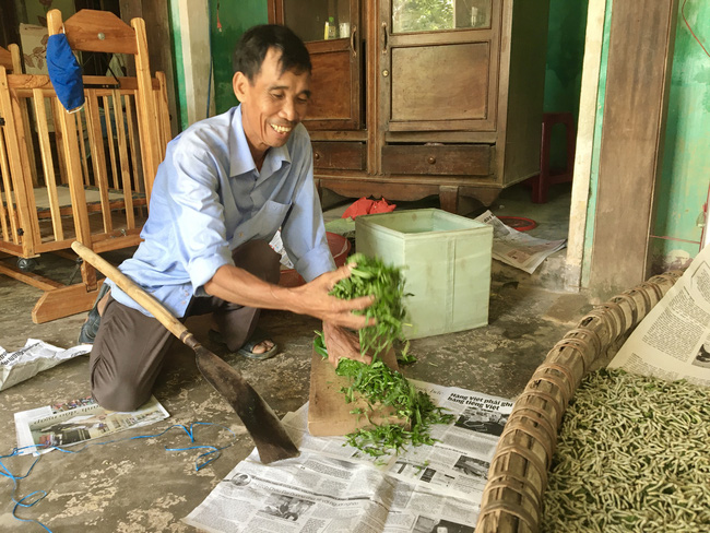 Quảng Nam: Làm ruộng ba năm không bằng "vua tằm Quảng Nam: Làm ruộng ba năm không bằng "vua tằm